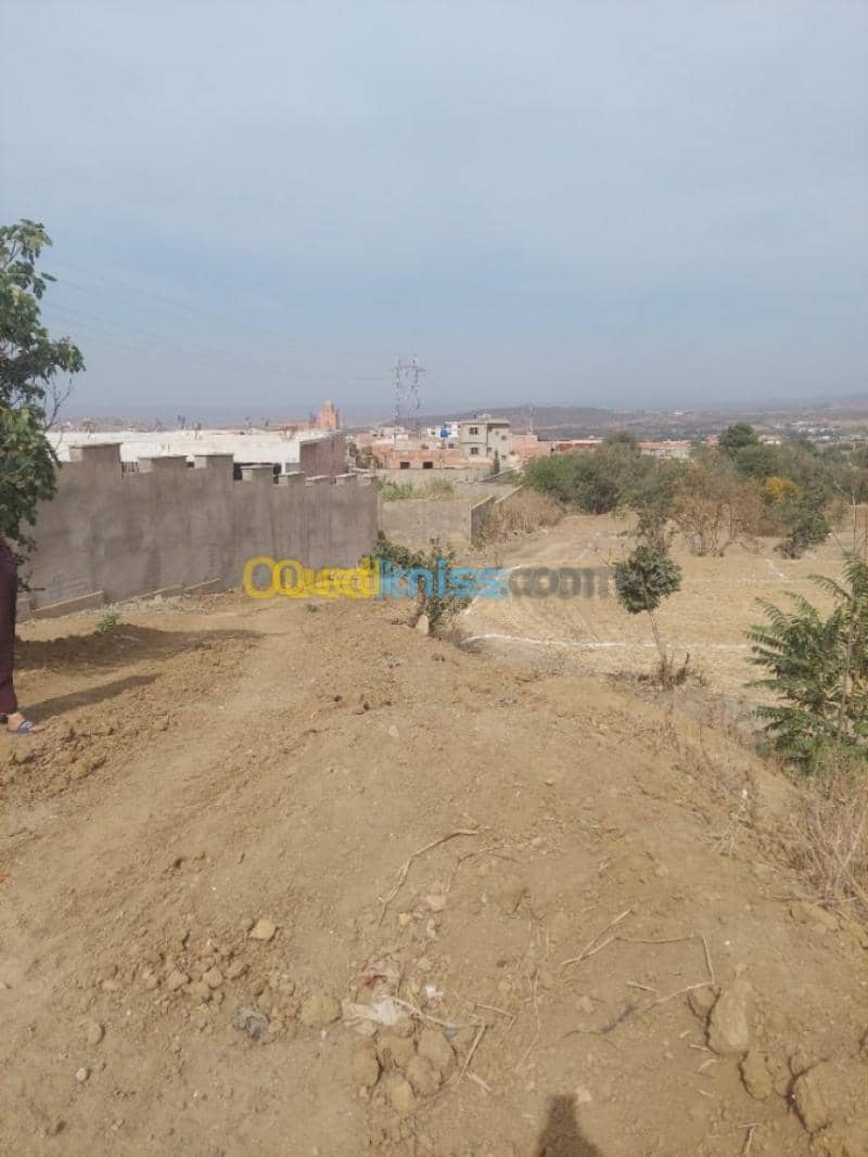 Vente Terrain Tlemcen Tlemcen 6