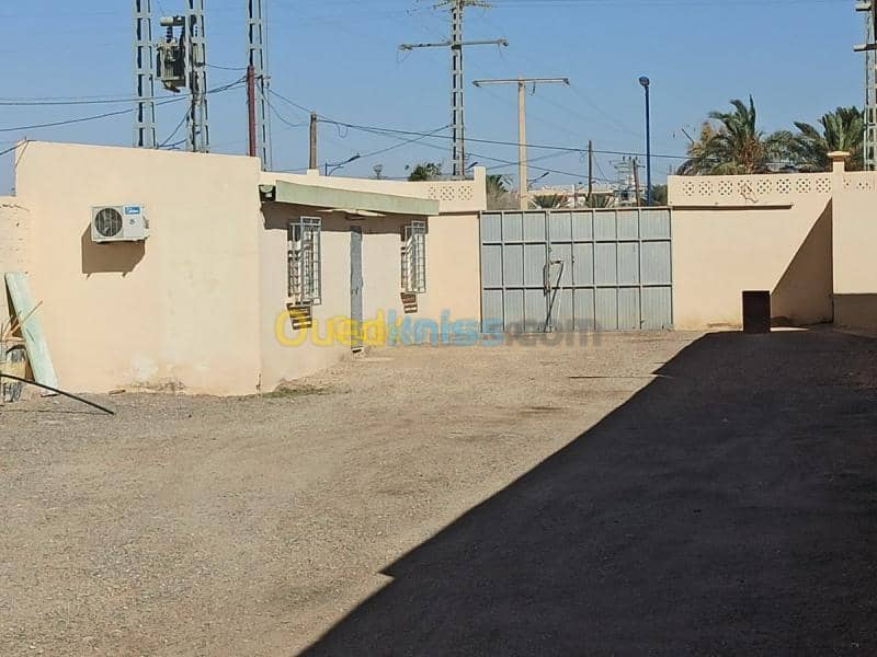 Location Usine Biskra Biskra 11