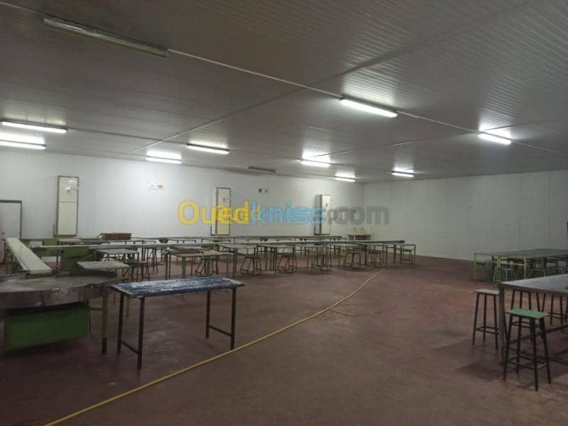 Location Usine Biskra Biskra 6