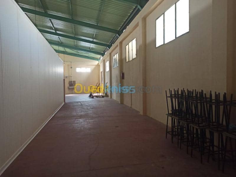 Location Usine Biskra Biskra 7