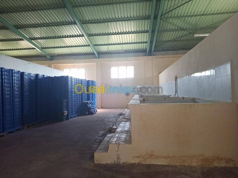 Location Usine Biskra Biskra 8