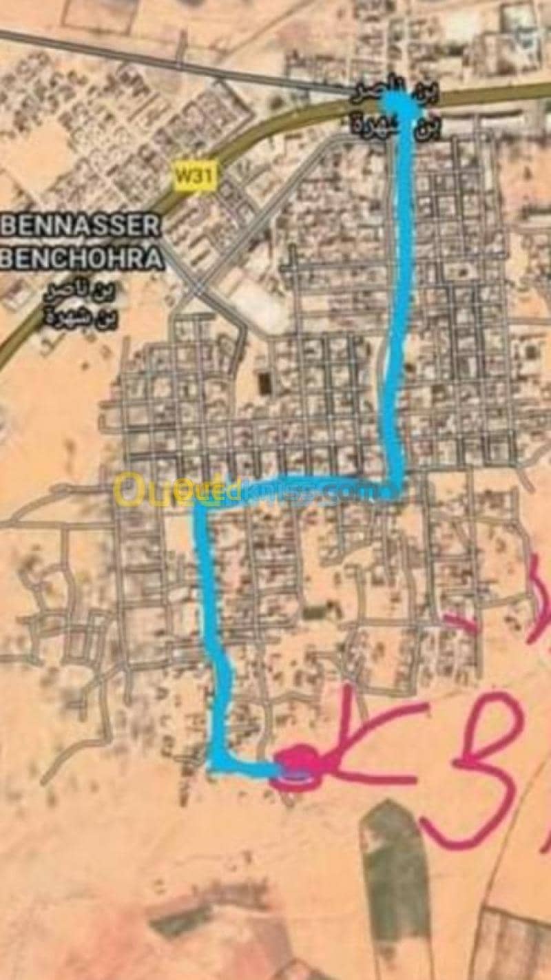 Vente Terrain Laghouat Mekhareg 2