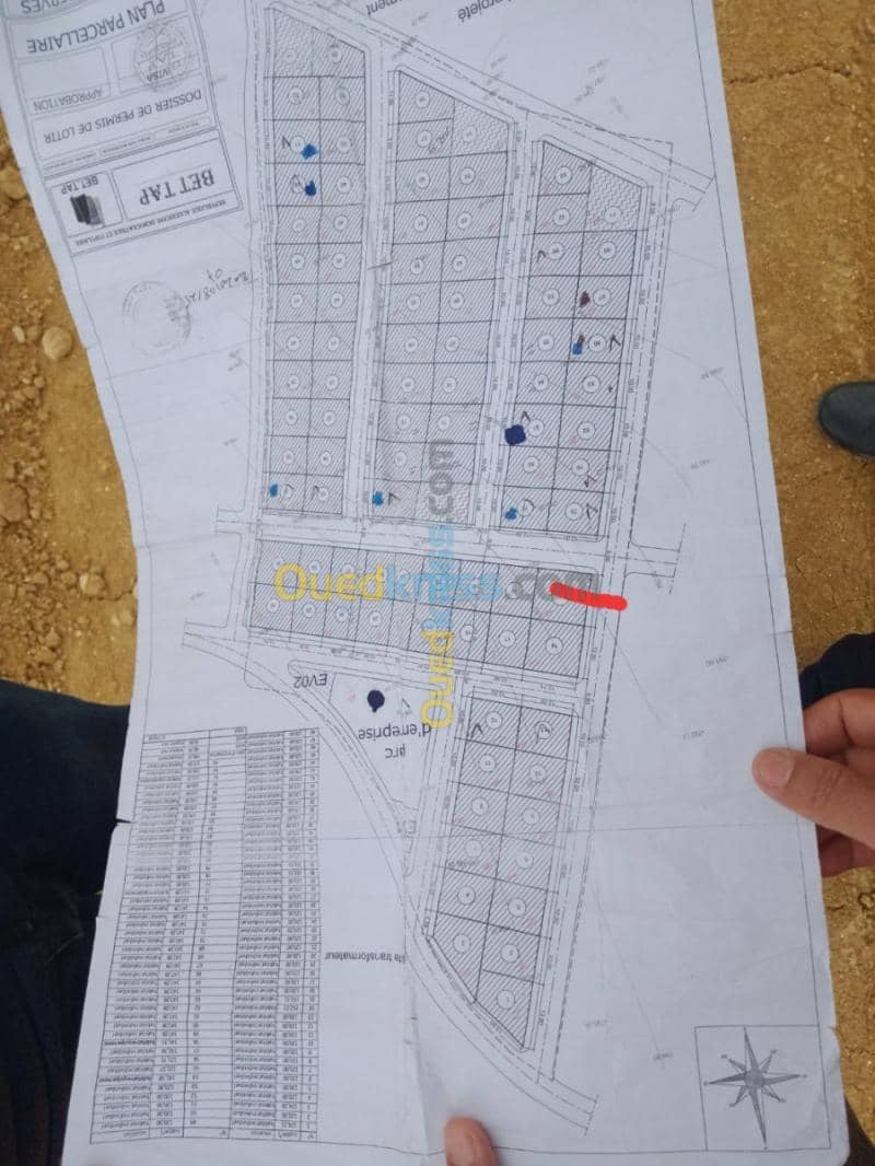 Vente Terrain Saida Ouled khaled 2