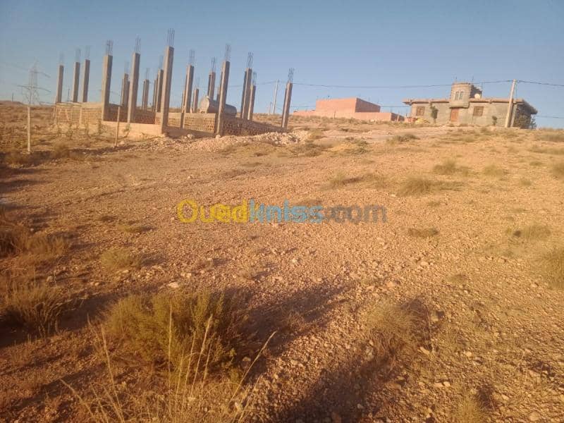 Vente Terrain Khenchela Cherchar 2