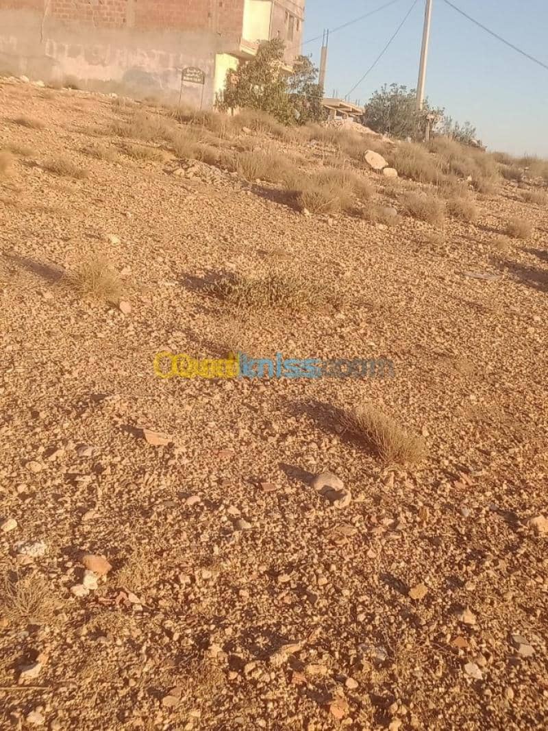 Vente Terrain Khenchela Cherchar 5