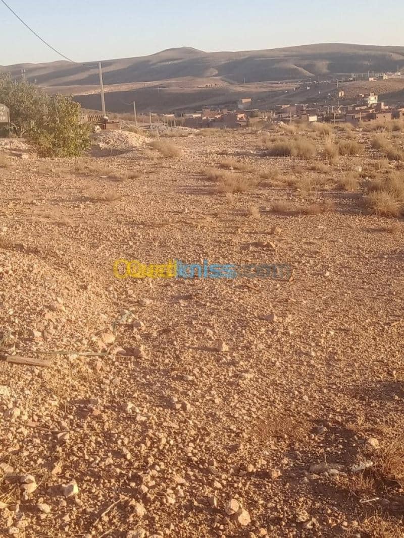 Vente Terrain Khenchela Cherchar 6