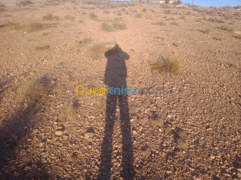 Vente Terrain Khenchela Cherchar 7