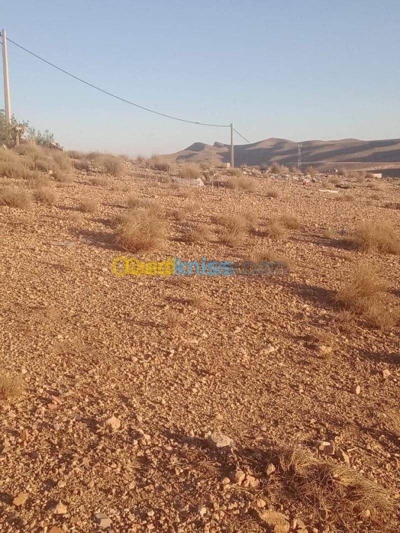 Vente Terrain Khenchela Cherchar 8