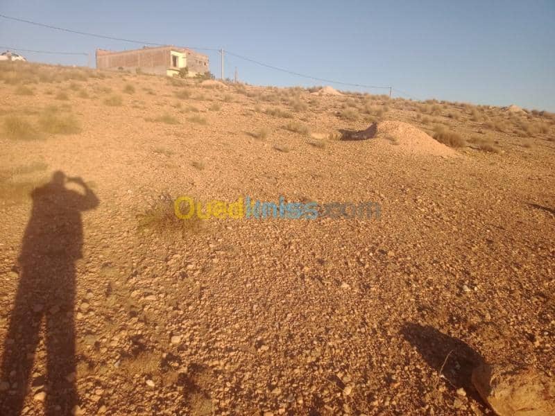 Vente Terrain Khenchela Cherchar 9