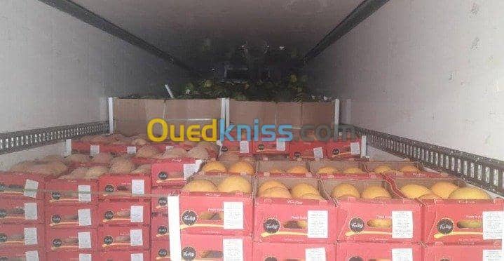 Location Local El oued El oued 5