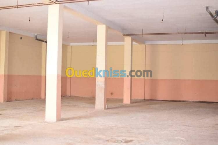 Location Local Naama Mecheria 2