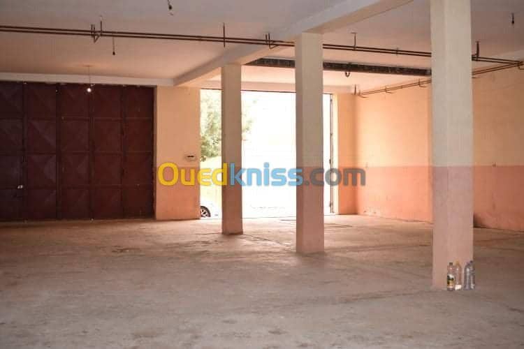 Location Local Naama Mecheria 4