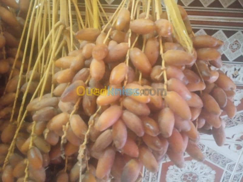 Vente Terrain Biskra Doucen 2
