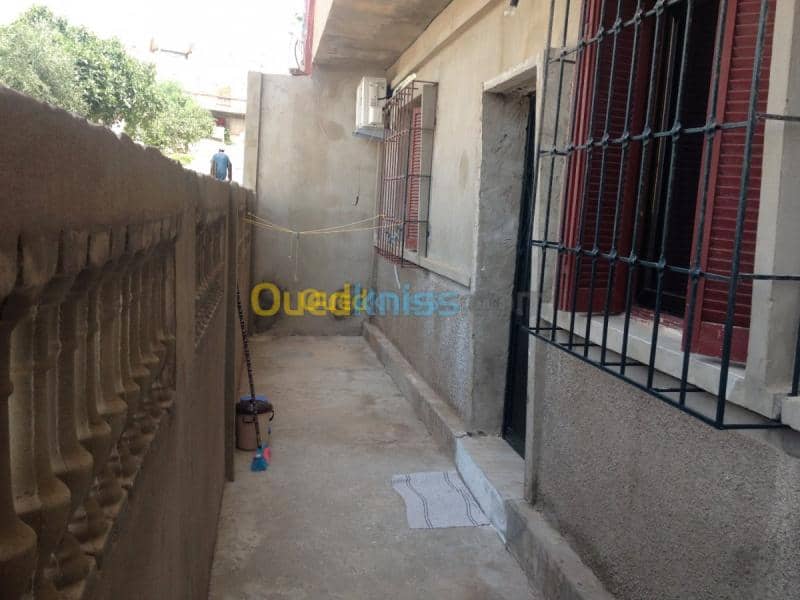 Location Studio Ain temouchent Beni saf 14