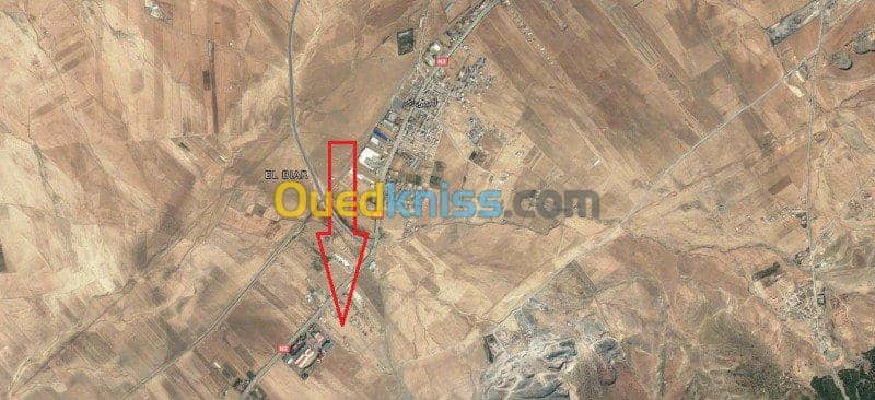 Vente Terrain Batna Batna