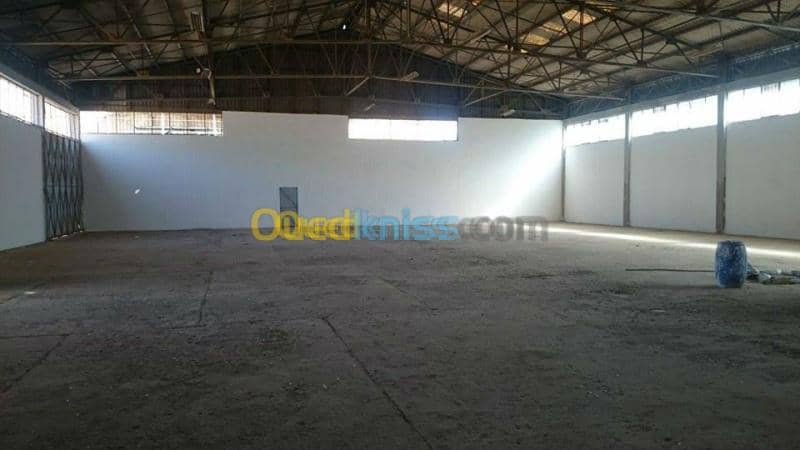 Location Hangar Sidi bel abbes Sidi bel abbes 2