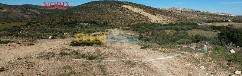 Vente Terrain Tlemcen Mansourah 3