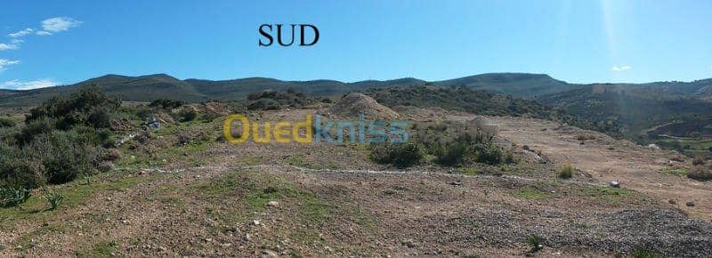 Vente Terrain Tlemcen Mansourah 4