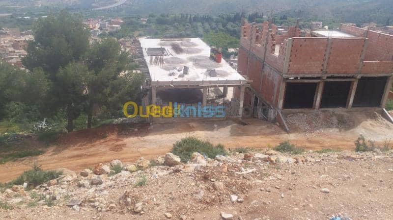 Vente Terrain Tlemcen Chetouane 3