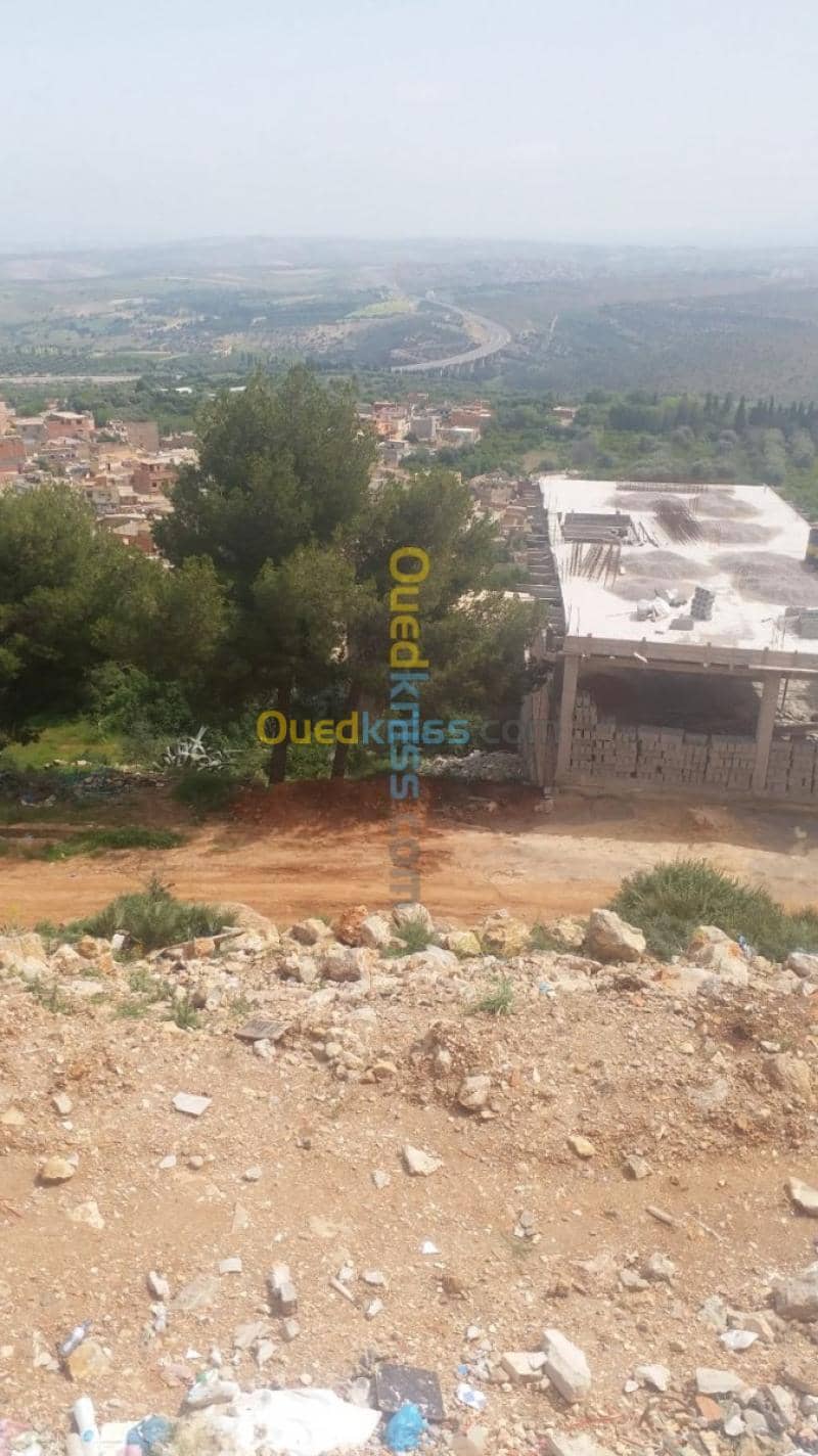 Vente Terrain Tlemcen Chetouane 4