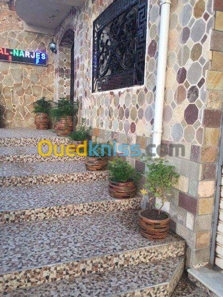 Location Appartement El Tarf El kala 3