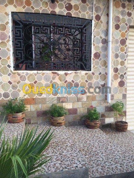 Location Appartement El Tarf El kala 4