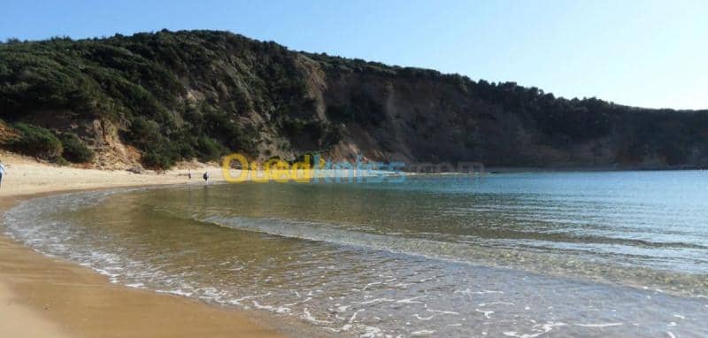 Location Appartement El Tarf El kala 44