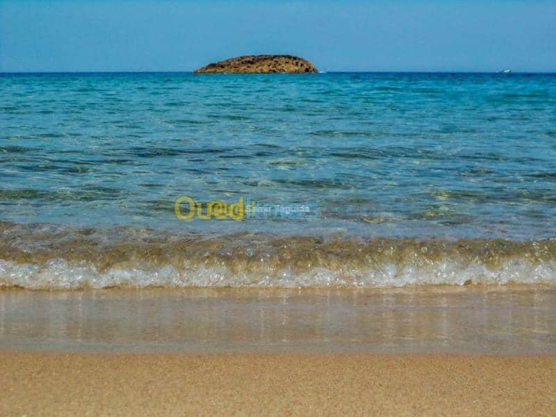 Location Appartement El Tarf El kala 45