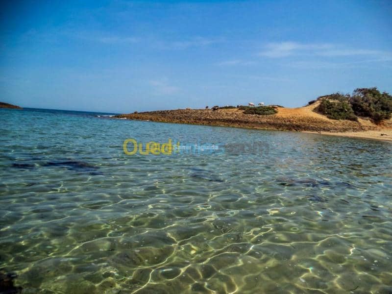 Location Appartement El Tarf El kala 46