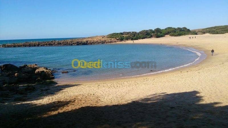Location Appartement El Tarf El kala 48