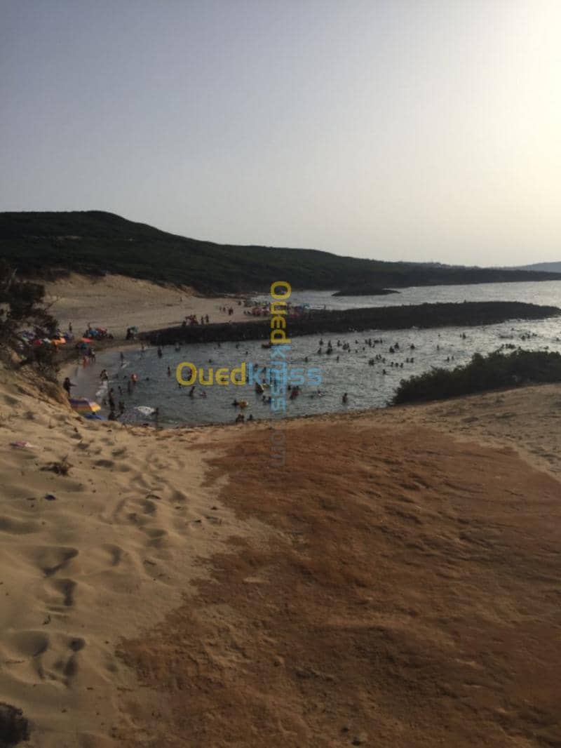 Location Appartement El Tarf El kala 49