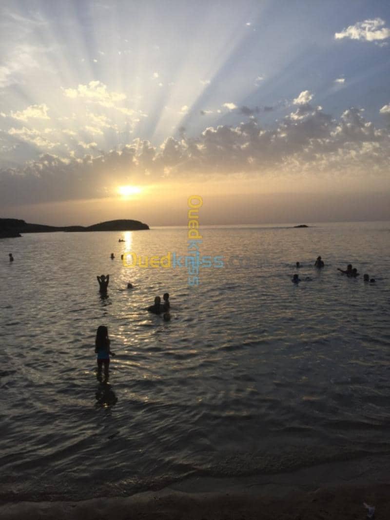 Location Appartement El Tarf El kala 50