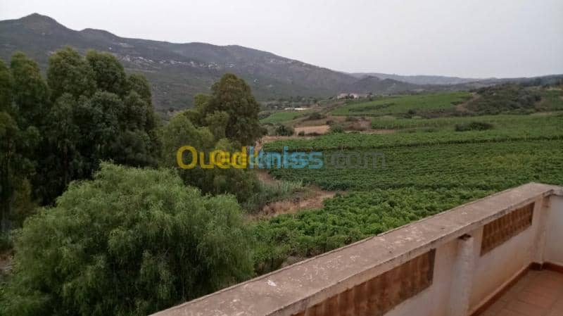 Location vacances Villa Boumerdès Dellys 28
