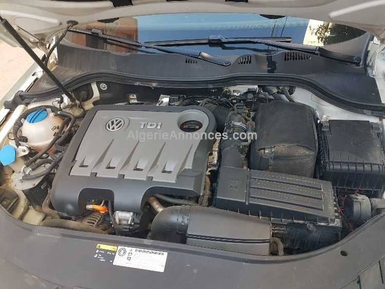 Passat 1er main