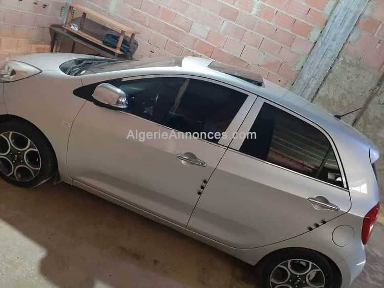 Picanto brazillia