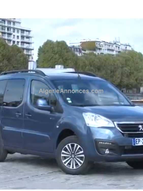 Peugeot partner tepee