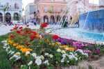 F3 blida centre ville