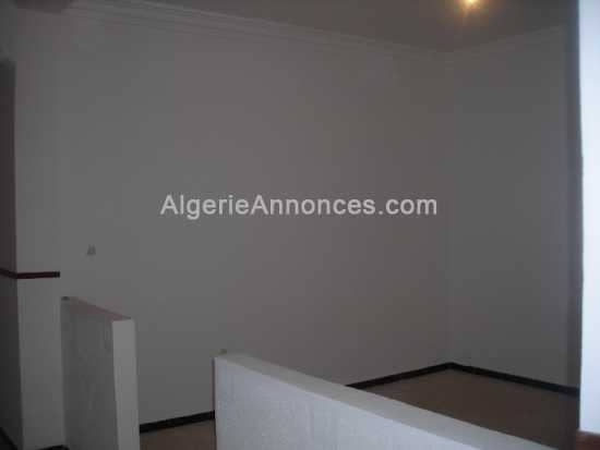 Location appartement 5