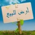 بيع قطع اراضي صالحة للبناء في ولاد سلامة