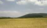 Terrain agricole