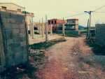 Vend terrain el kala 310m2 7