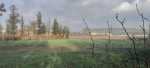 Terrain à vendre - chlef 6