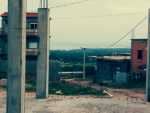 Vend terrain el kala 310m2 4