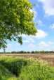 Vendre terrain agricole vu sur mer 3