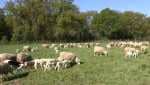 Vendre terrain agricole vu sur mer 2