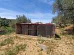 Vente terrain tlemcen boujmil mansoura 5