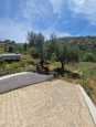 Vente terrain tlemcen boujmil mansoura 6