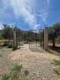 Vente terrain tlemcen boujmil mansoura 7