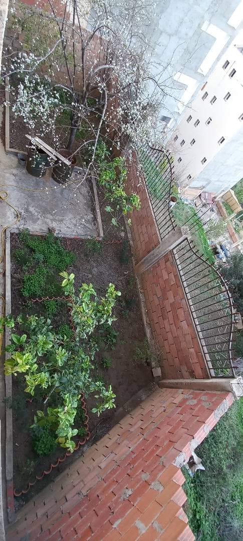 Vente maison en clos couvert bejaia 06000 9