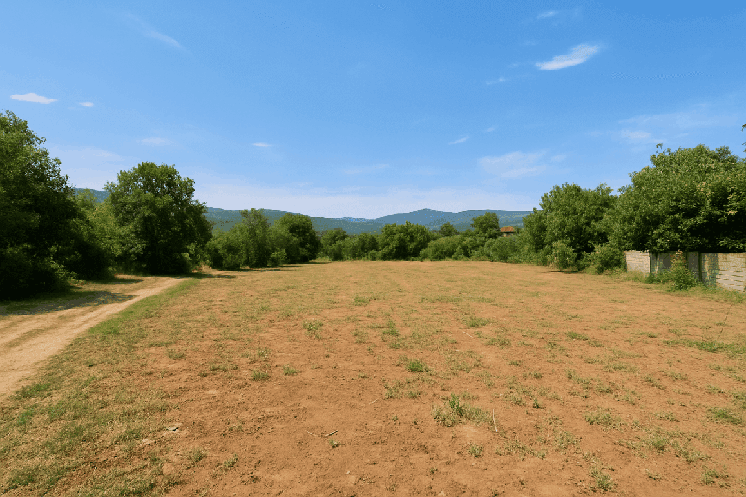 Terrains à vendre à yakouren – 1 lot de 1200 m² + 2 lots de 3000 m²